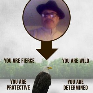 Meet your Posher, Dennis